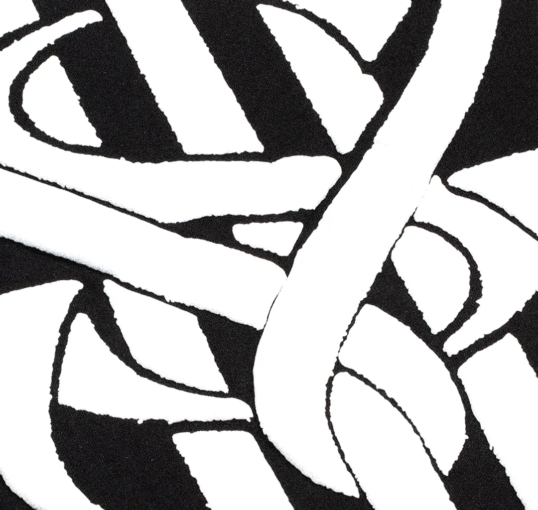 Détail noir et blanc avec lignes graphiques SCH.